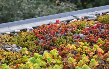the cost of Pumsaint green roof installation