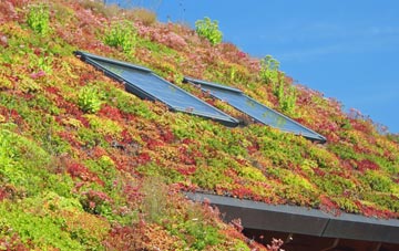 Pumsaint living roof systems